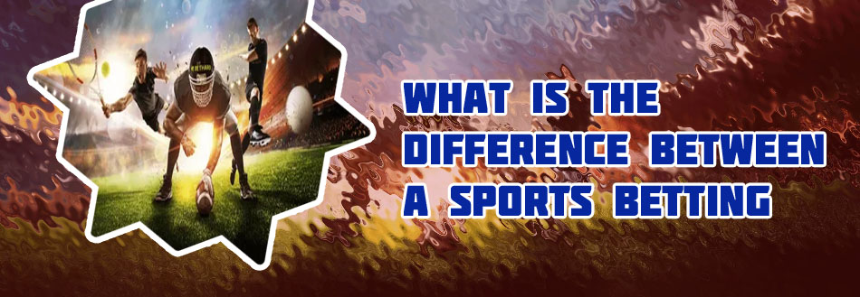 Best sports betting app for beginners