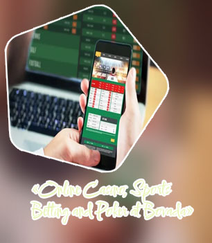 Online sports betting websites